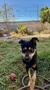 SOMBRA Imagen 4